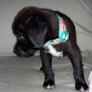 Meet your Posher, Mary